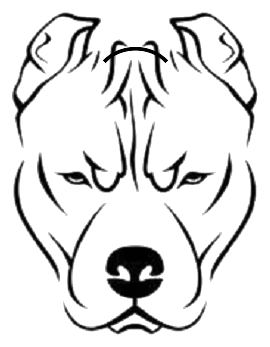 Turf Dogs dog head logo